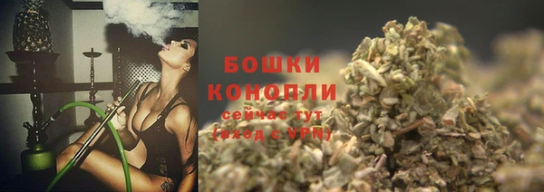 гашик Алексеевка