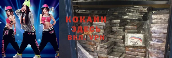 дмт Алексин