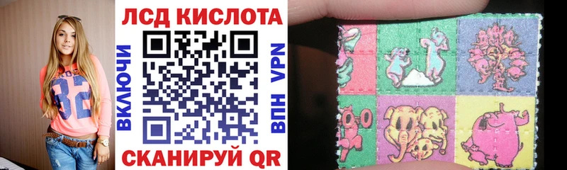 дарнет шоп  Почеп  Марки N-bome 1,8мг 