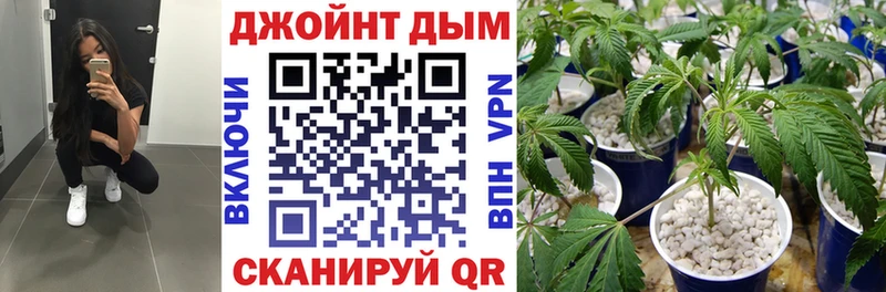 Конопля Ganja  Почеп 
